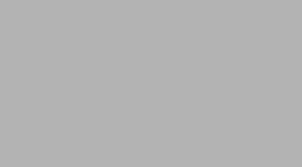 Solid medium-gray background.